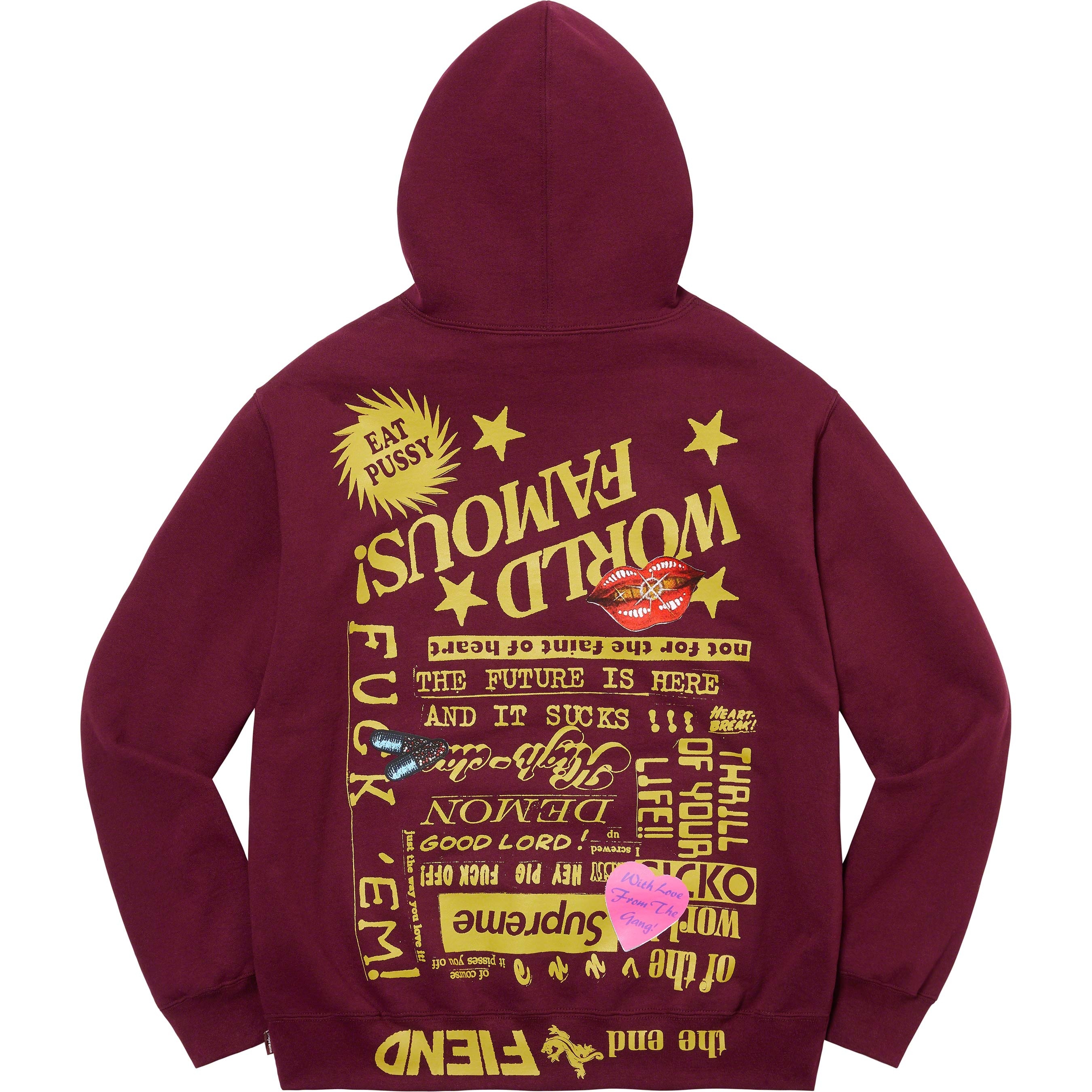 Fiend Hooded Sweatshirt view 5